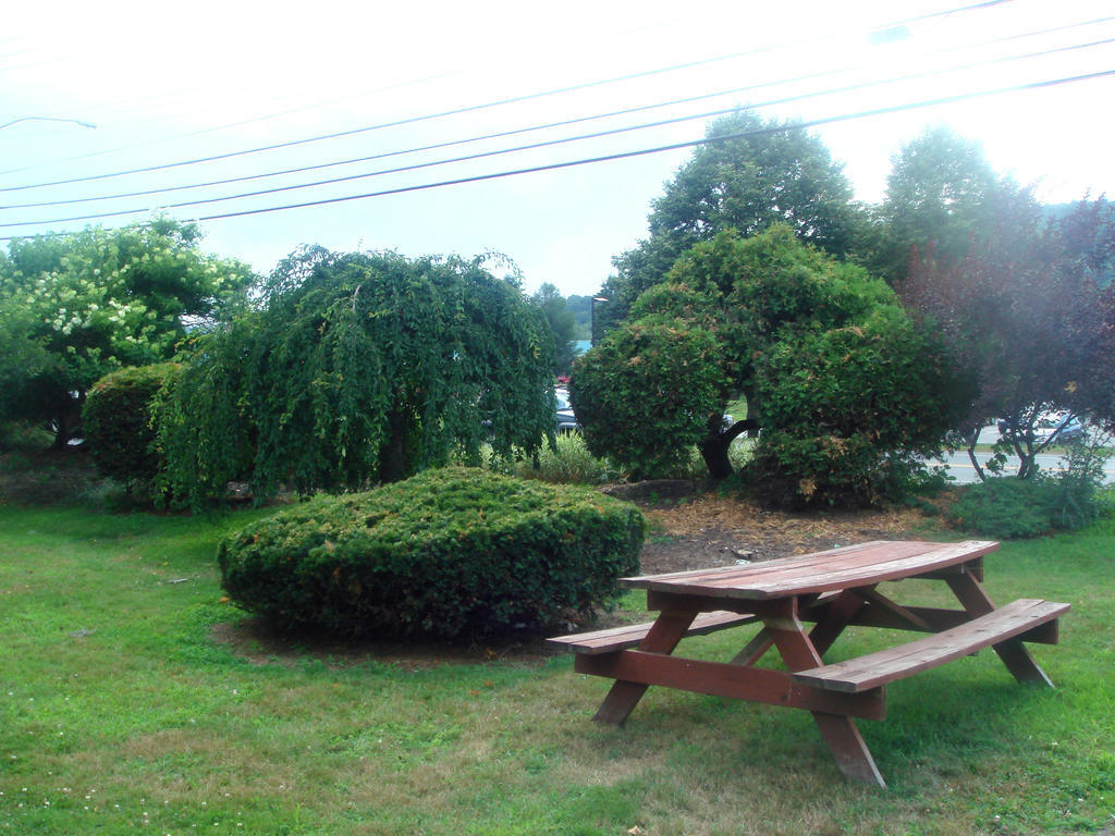 The Black Mountain Inn Brattleboro Extérieur photo